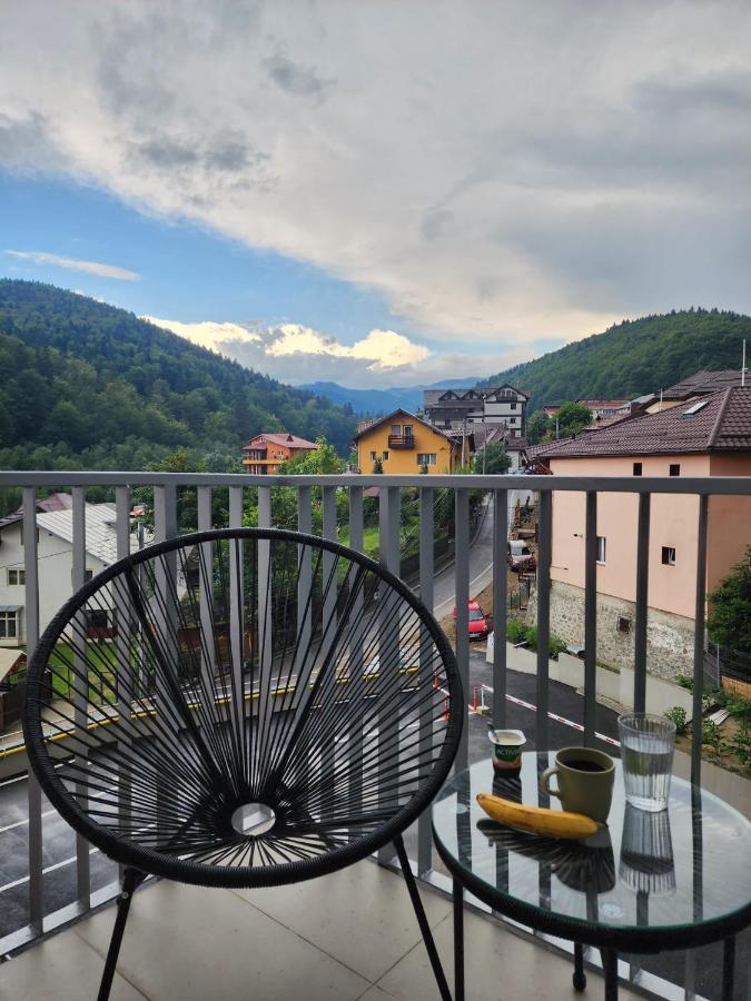 Cozy Studio 4 People With Parking Sinaia Extérieur photo