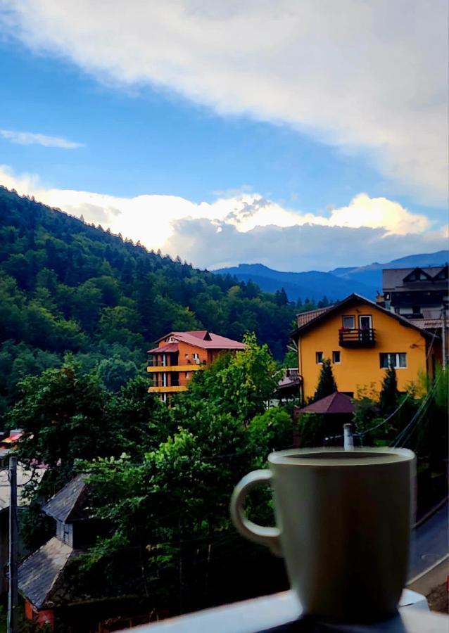 Cozy Studio 4 People With Parking Sinaia Extérieur photo