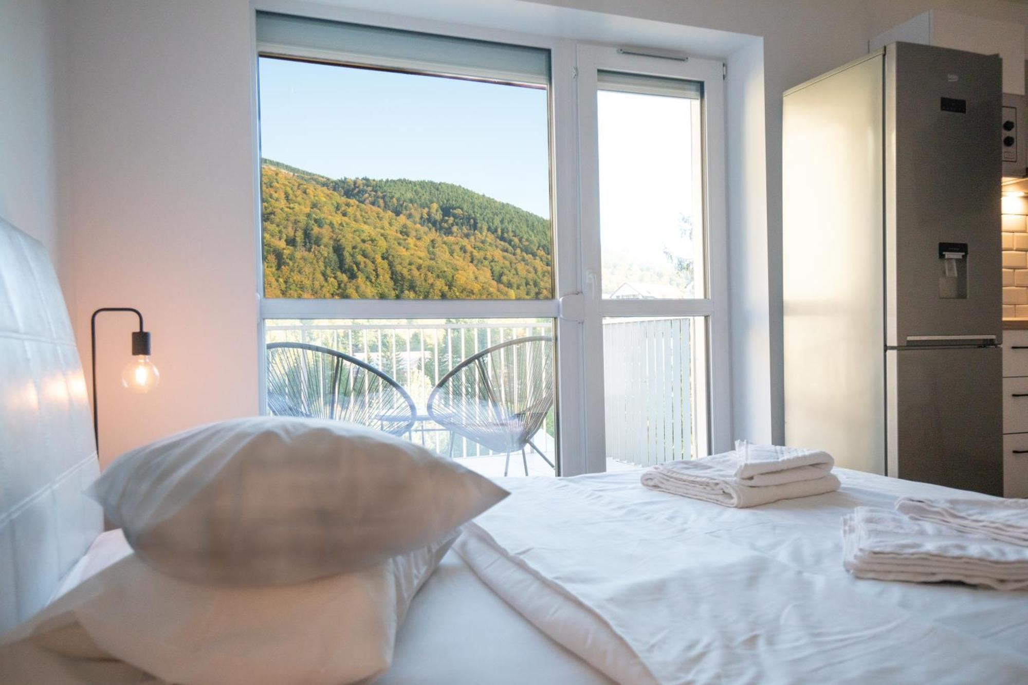 Cozy Studio 4 People With Parking Sinaia Extérieur photo
