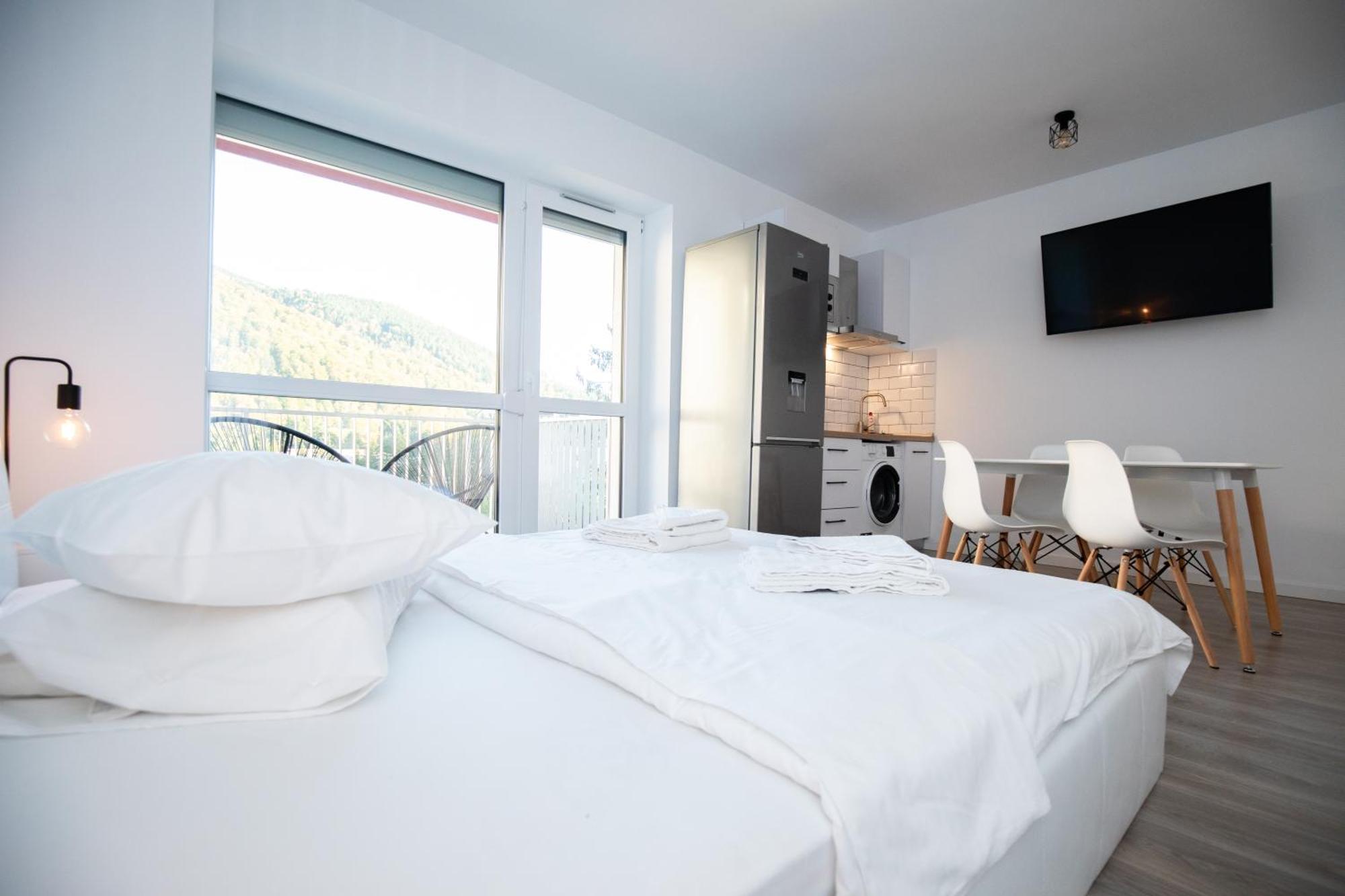 Cozy Studio 4 People With Parking Sinaia Extérieur photo